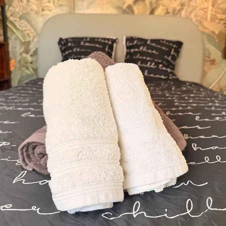 L'escale De - Cosy Dans Le Centre Haguenau